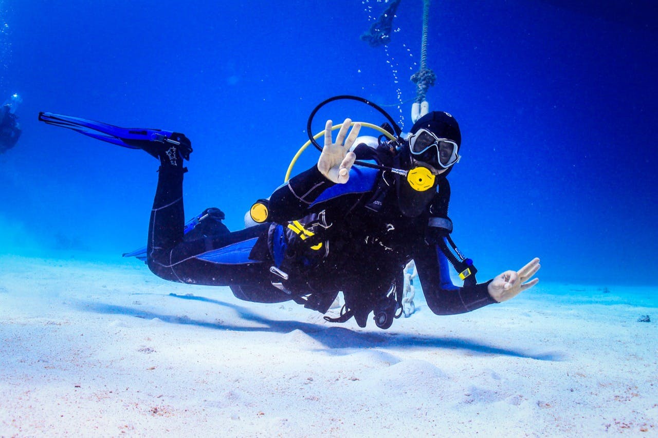 후르가다: 가이드와 함께하는 스쿠버다이빙 체험 + 왕복 교통편 + 점심 식사