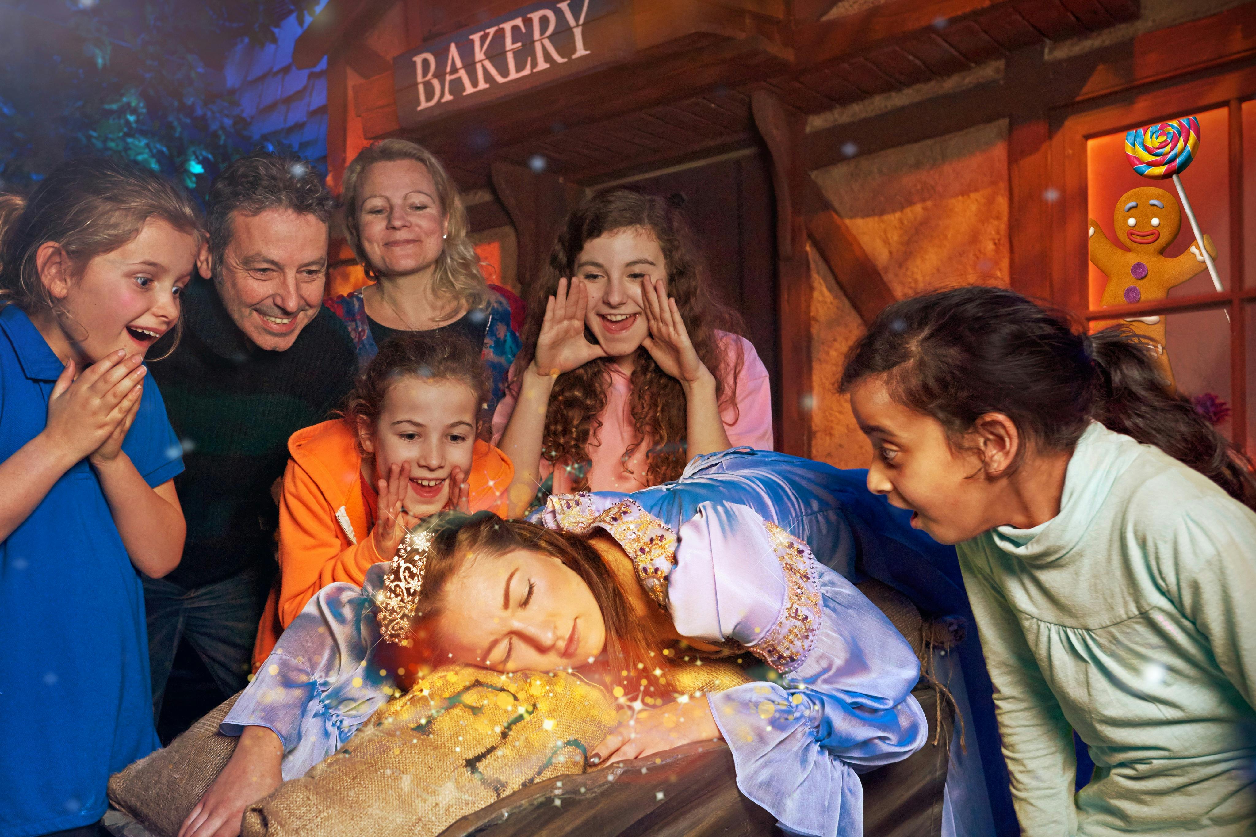 Shrek's Adventure! London: Biglietto d'ingresso — 4
