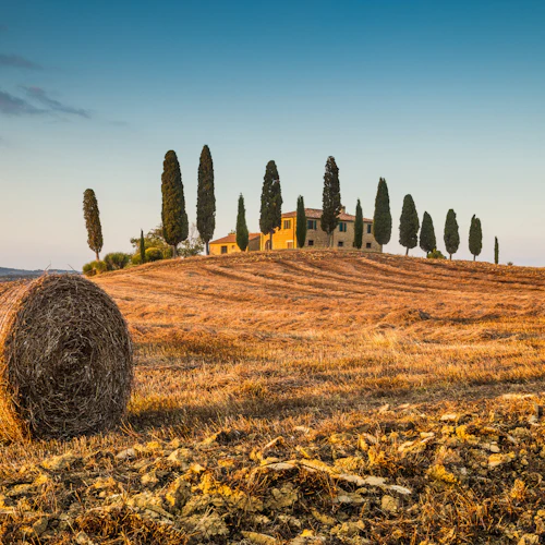 Monteriggioni e Val D'Orcia: Excursão de um dia a partir de Florença - Photo 15