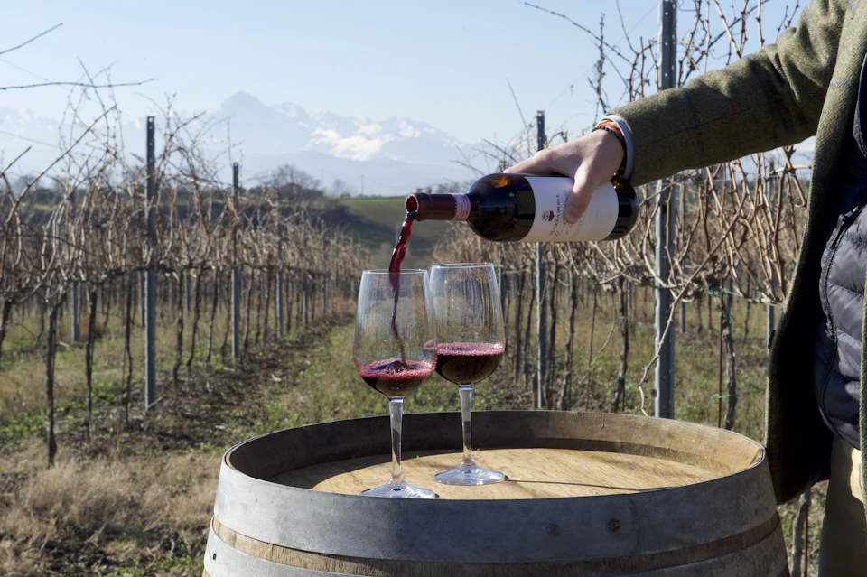 A hand pours red wine into two glasses on a barrel, in a vineyard with leafless vines and mountains in the background.