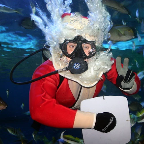 Underwater World Pattaya: Entry Ticket - Photo 3
