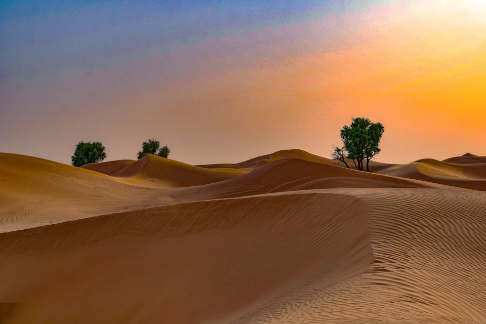 Orient Tours Dubai - Sunrise Desert Safari