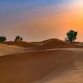 Orient Tours Dubaï - Safari au lever du soleil dans le désert