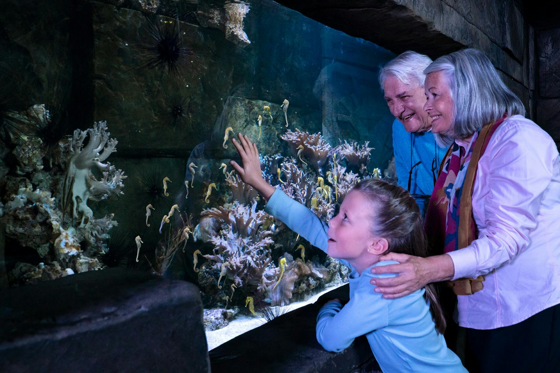 SEA LIFE London: Entry Ticket