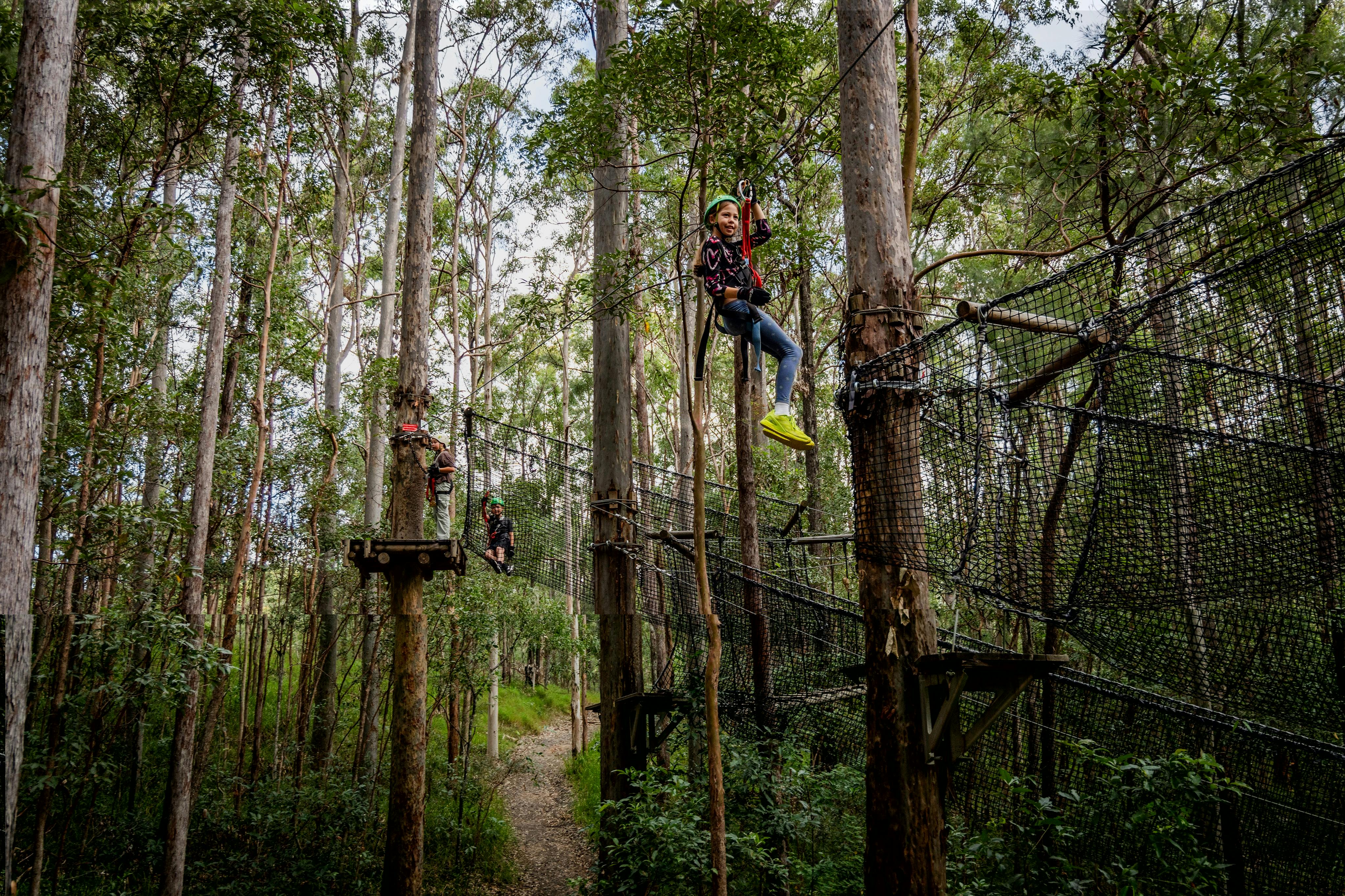 People wearing helmets and harnesses navigate a treetop ropes course in a dense forest.