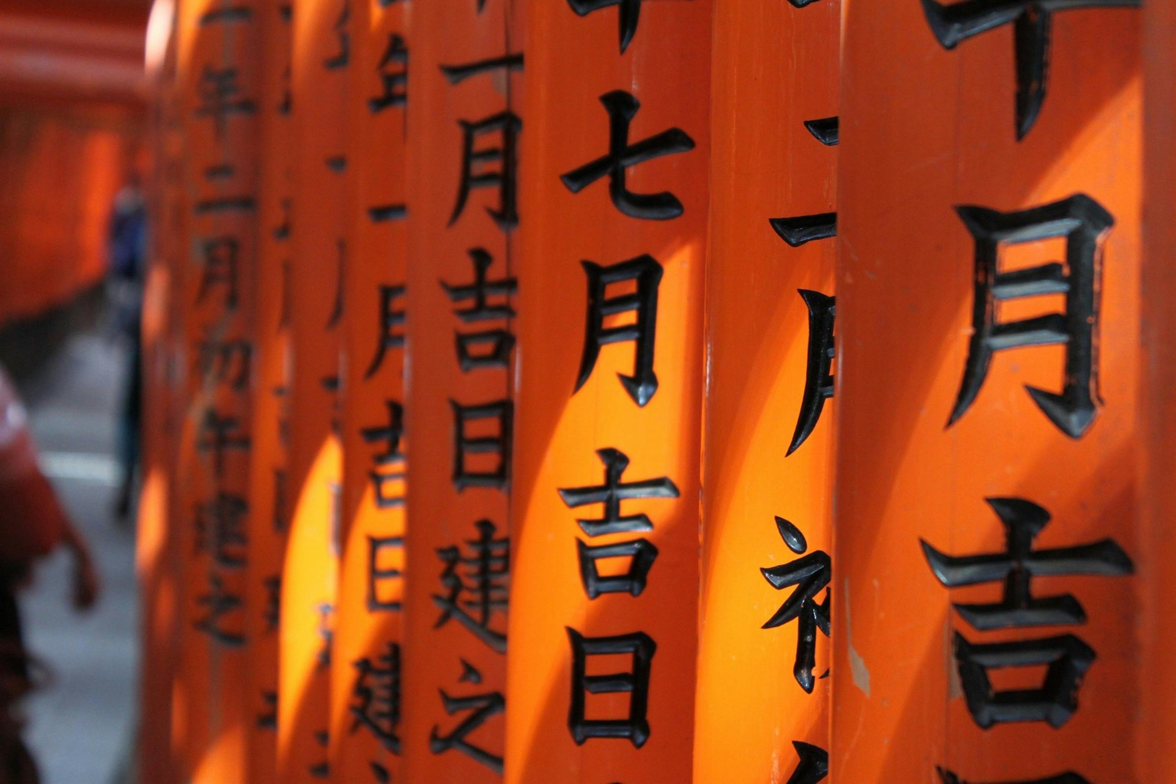 Kyoto: Guided Tour + Roundtrip Bus Transfer - Photo 8