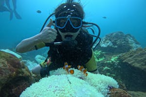 Scuba diving in Phuket