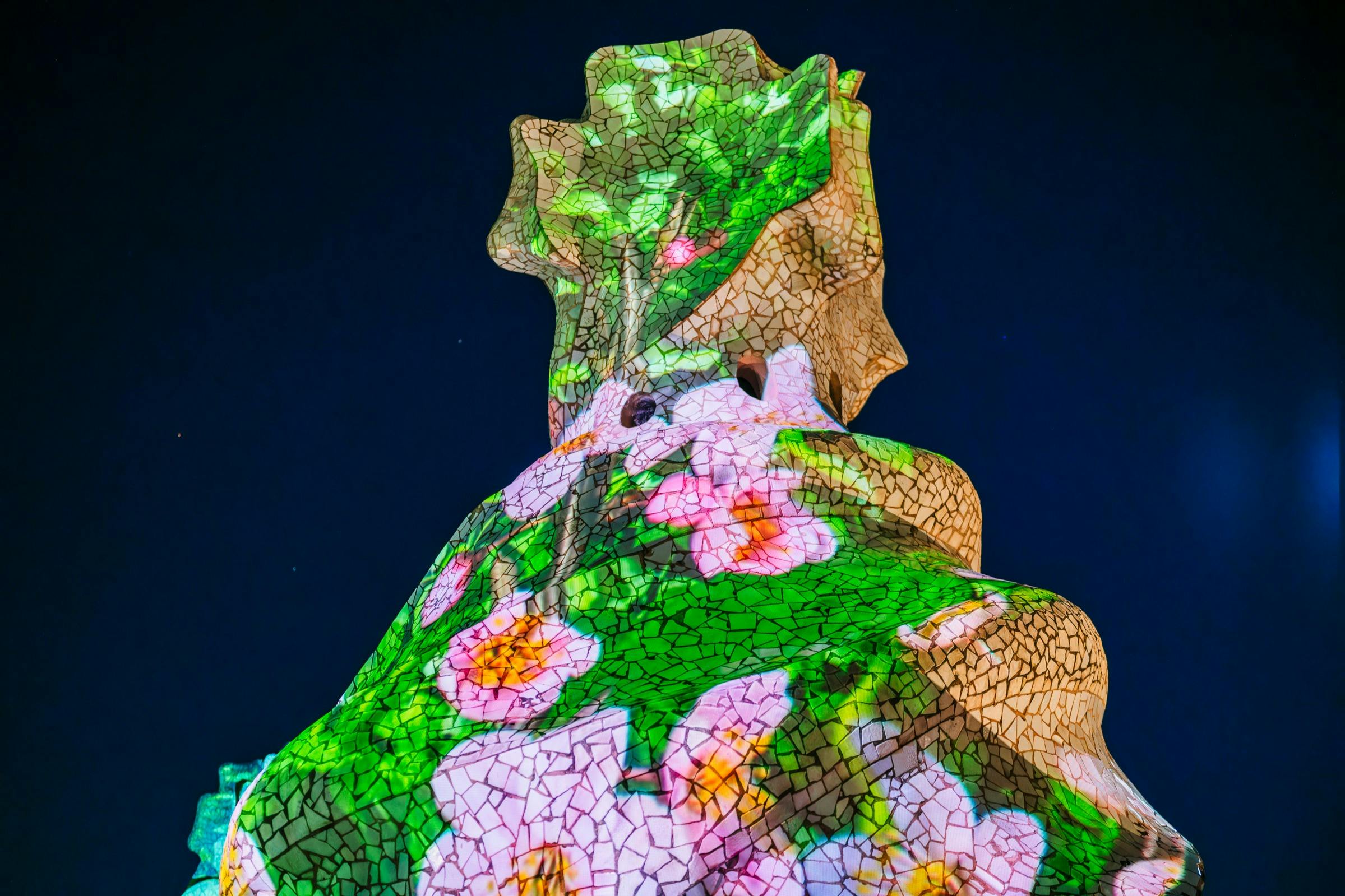 Camino de La Pedrera Night Experience