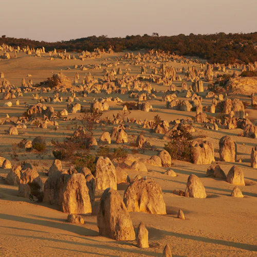 Pinnacles Desert: Guided Stargazing Tour + Roundtrip Transfer - Photo 5
