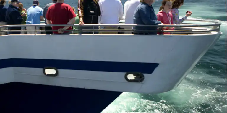 Persones de peu a la proa d'un vaixell, amb vistes a l'oceà en un dia assolellat.