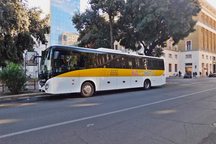 Roma: Civitavecchia Transfer + Hop-on Hop-off Bus Tur Kombi Bilet - 3