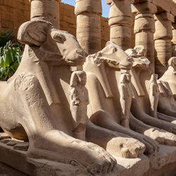 Luxor: Guided Day Tour from Hurghada + Lunch 5