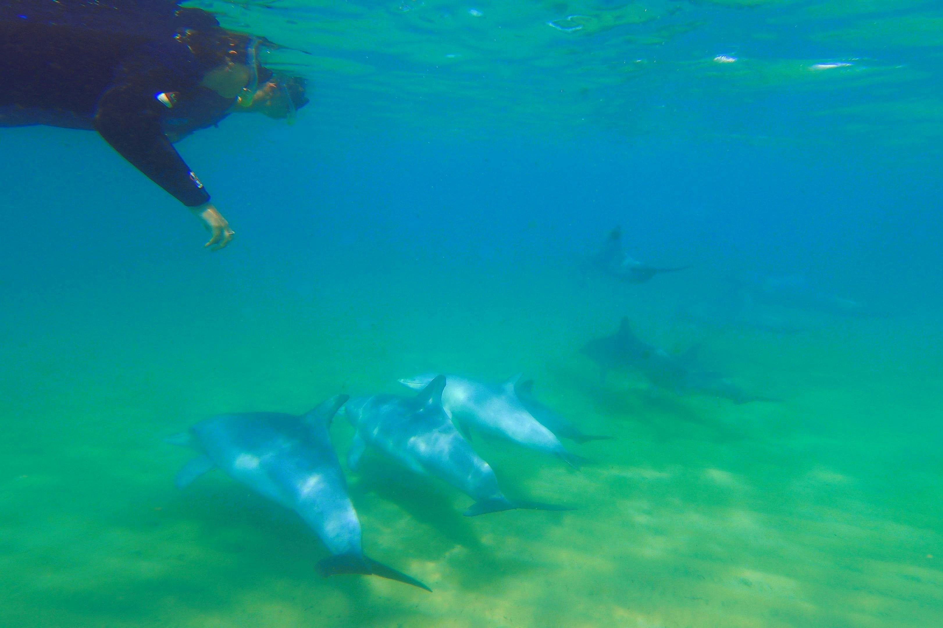 Your own special experience you will never forget.