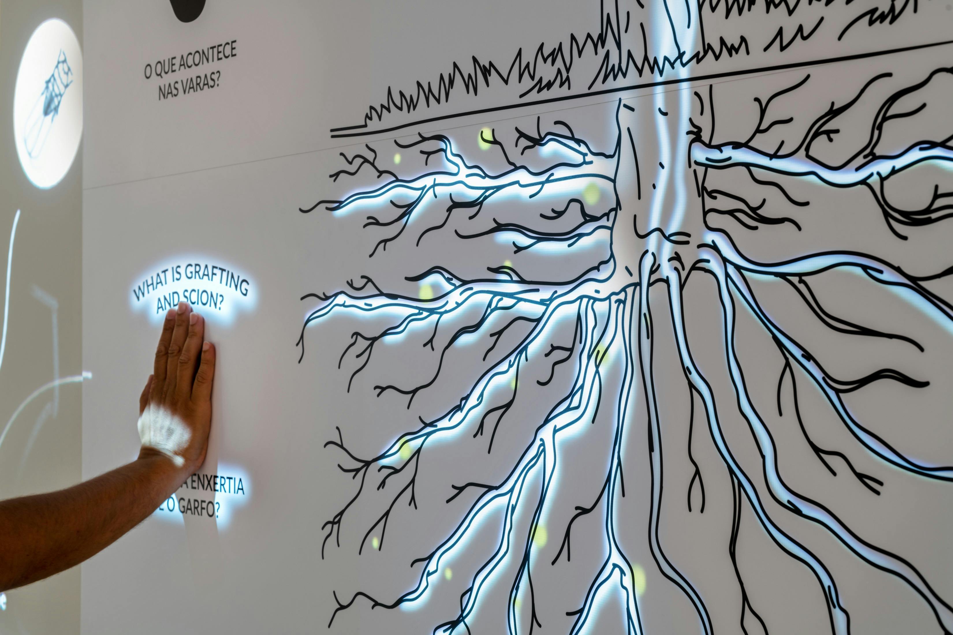 L'expérience du vin