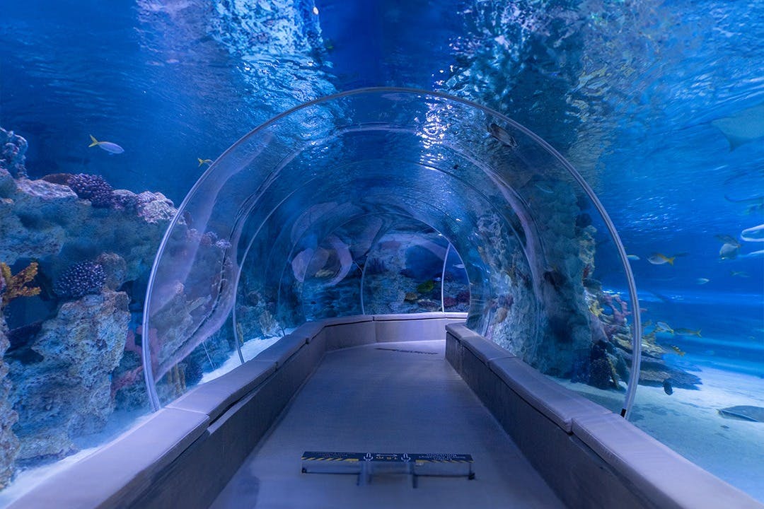 Emaar Aquarium & Underwater Zoo