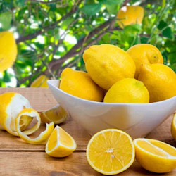 Rome: Limoncello Making Class + Tasting + Pickup 2