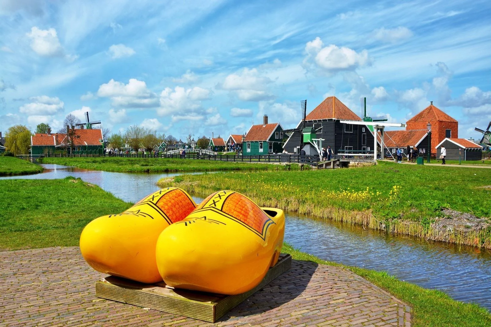 Keukenhof & Zaanse Schans: Entry Ticket