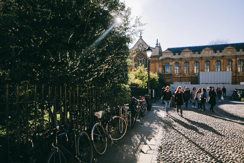 People walking on a cobblestone path with parked bicycles, a tree in sunlight, and a historic building in the background.