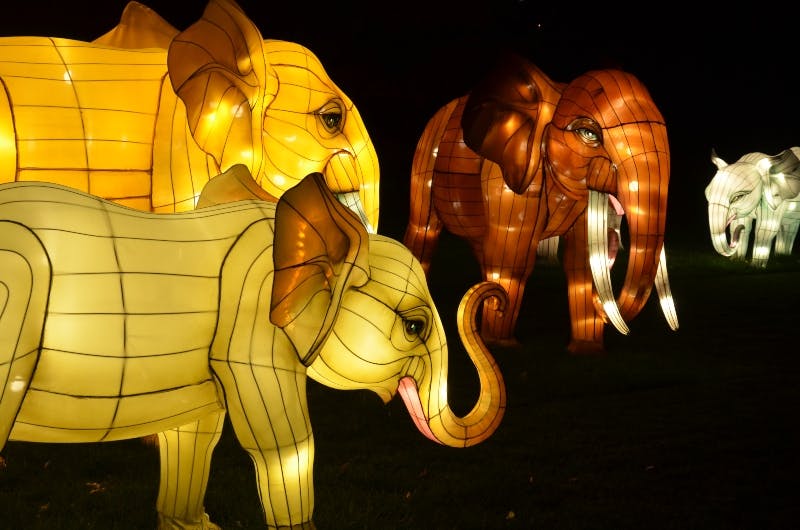 三盏发光的大象灯，在深绿色的草坪上呈黄色、棕褐色和橙色。