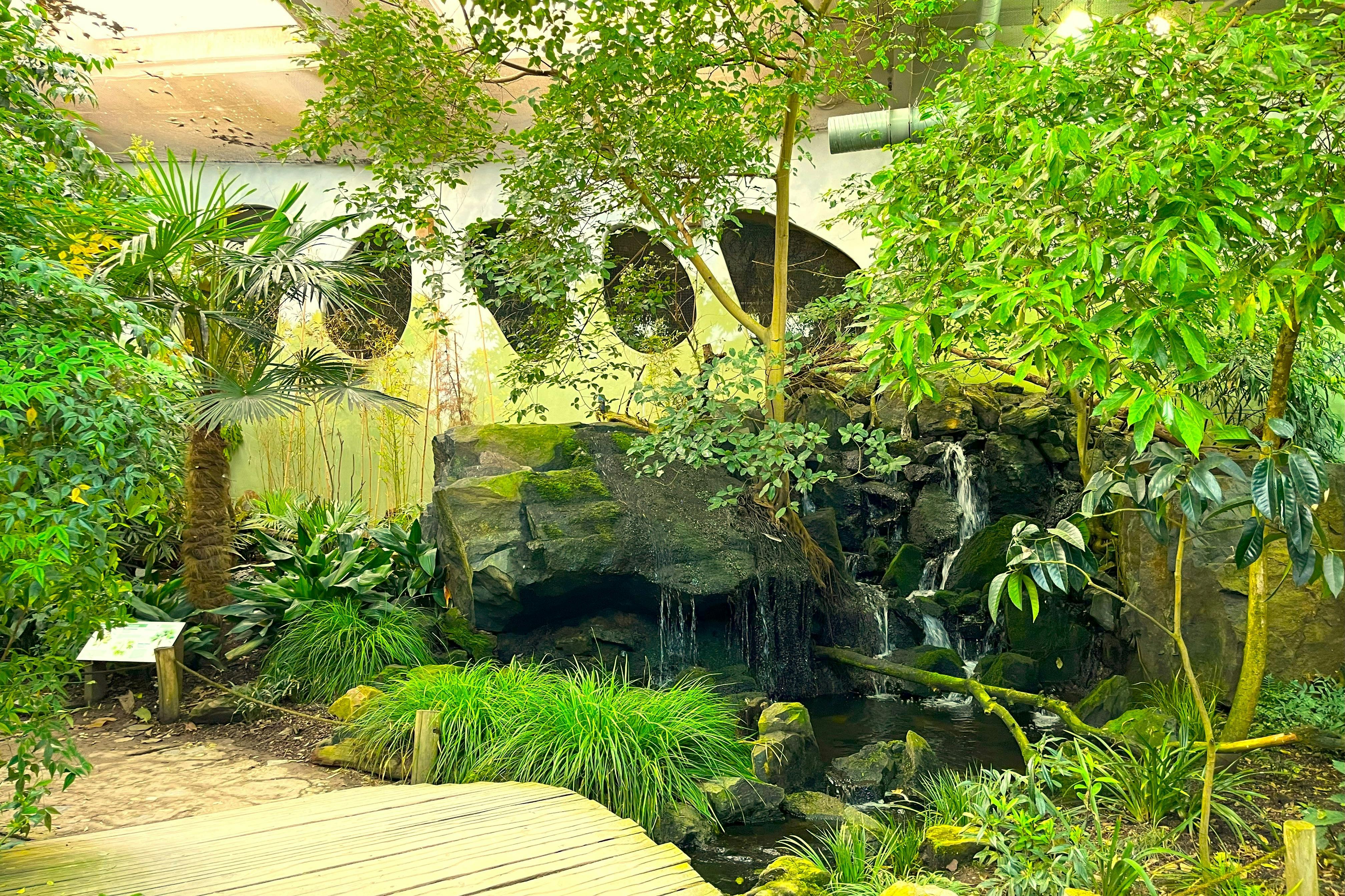 Experience nature from all around the world.