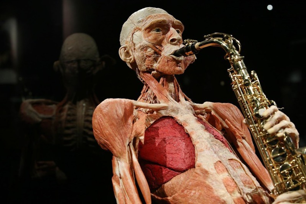 BODY WORLDS - The Happiness Project: Skip The Line - Accommodations in Ámsterdam
