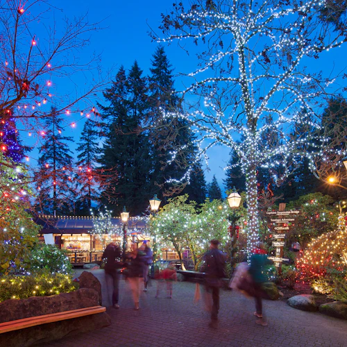 Vancouver: Christmas Tour with Capilano Canyon Lights - Photo 2