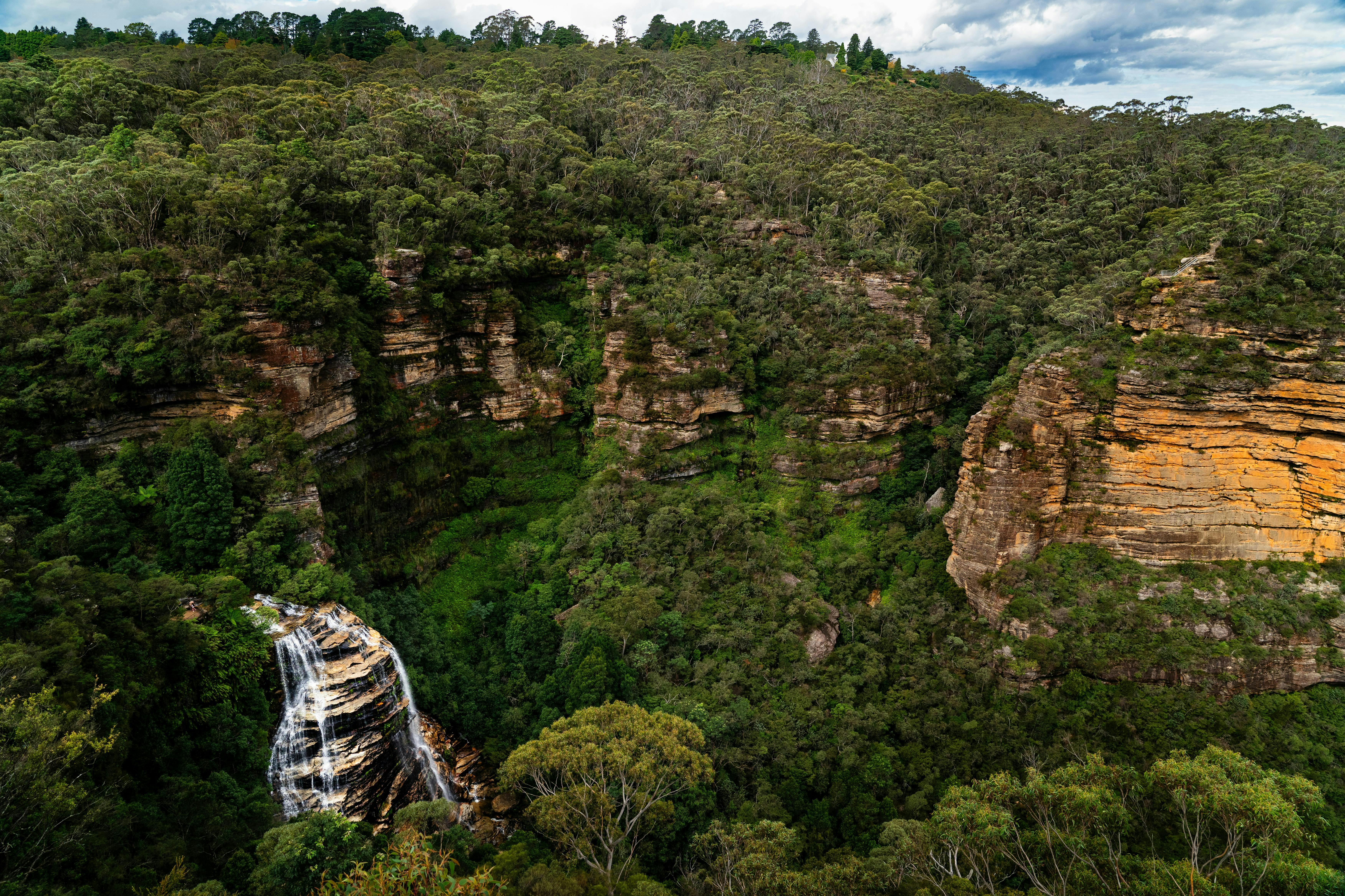 Una vista panoràmica d'un exuberant bosc verd amb una cascada que cau en cascada per penya-segats rocosos envoltats de densa vegetació.