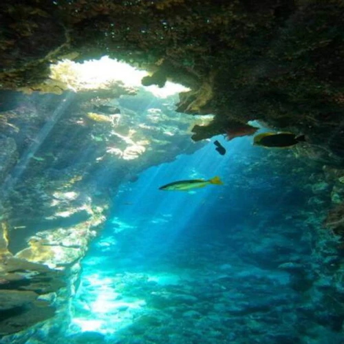 Sharm El-Lole Beach: "Zaina Camp" - Photo 3