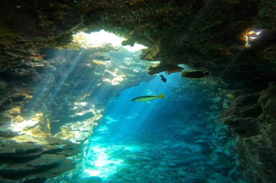 Elquseir Caves Dive