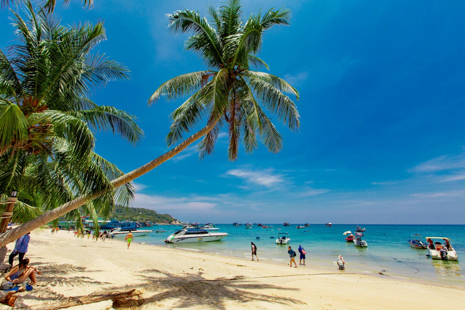 Enjoy a scenic island tour, taking in breathtaking coastal views.