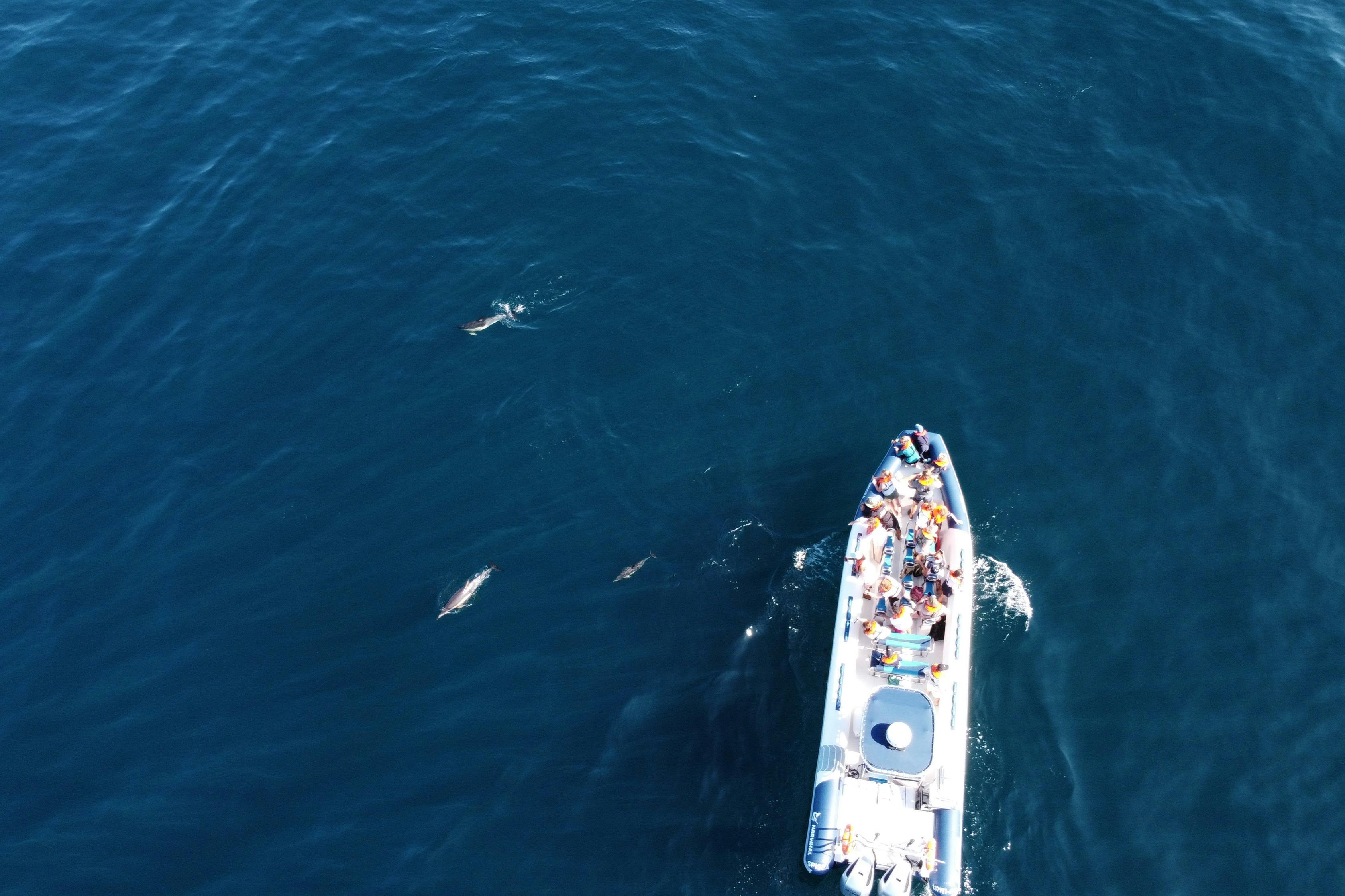 Άποψη από ψηλά