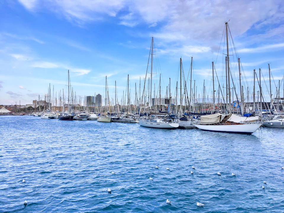 Numerous sailboats docked at a marina with seagulls on the calm water, under a blue sky with some clouds.