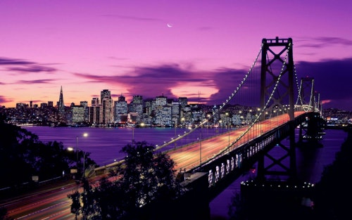 サンフランシスコ：乗り降り自由のセーバーツアー(即日発券)