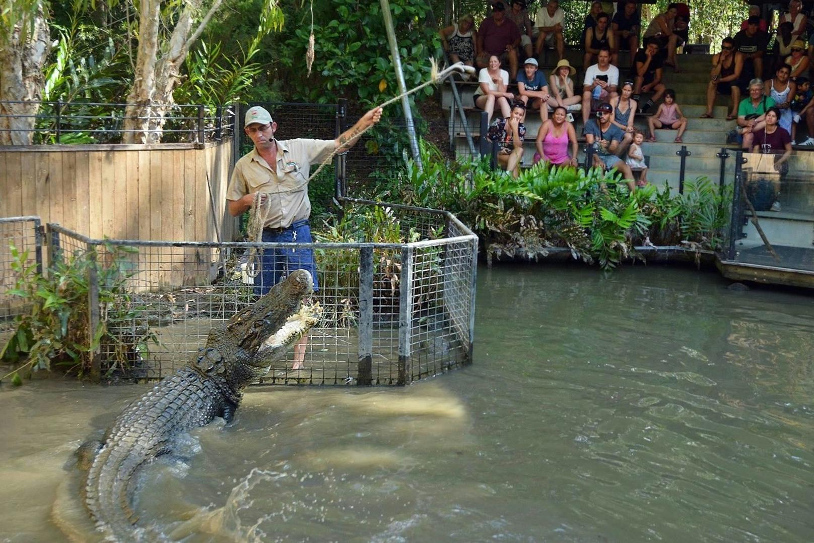 ハートリース・クロコダイル・アドベンチャー