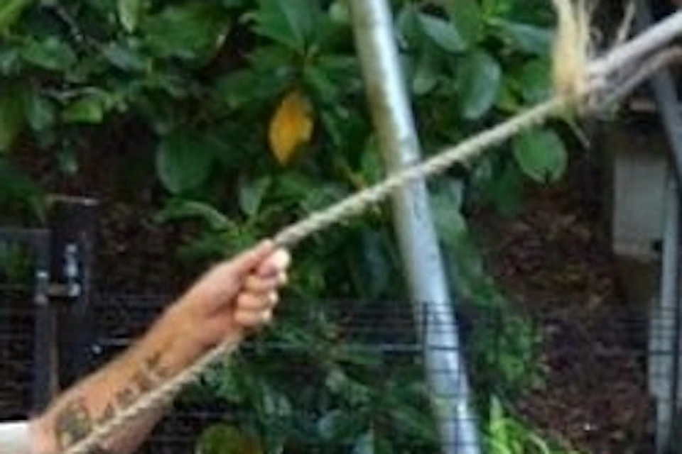 Hartley's Crocodile Adventures