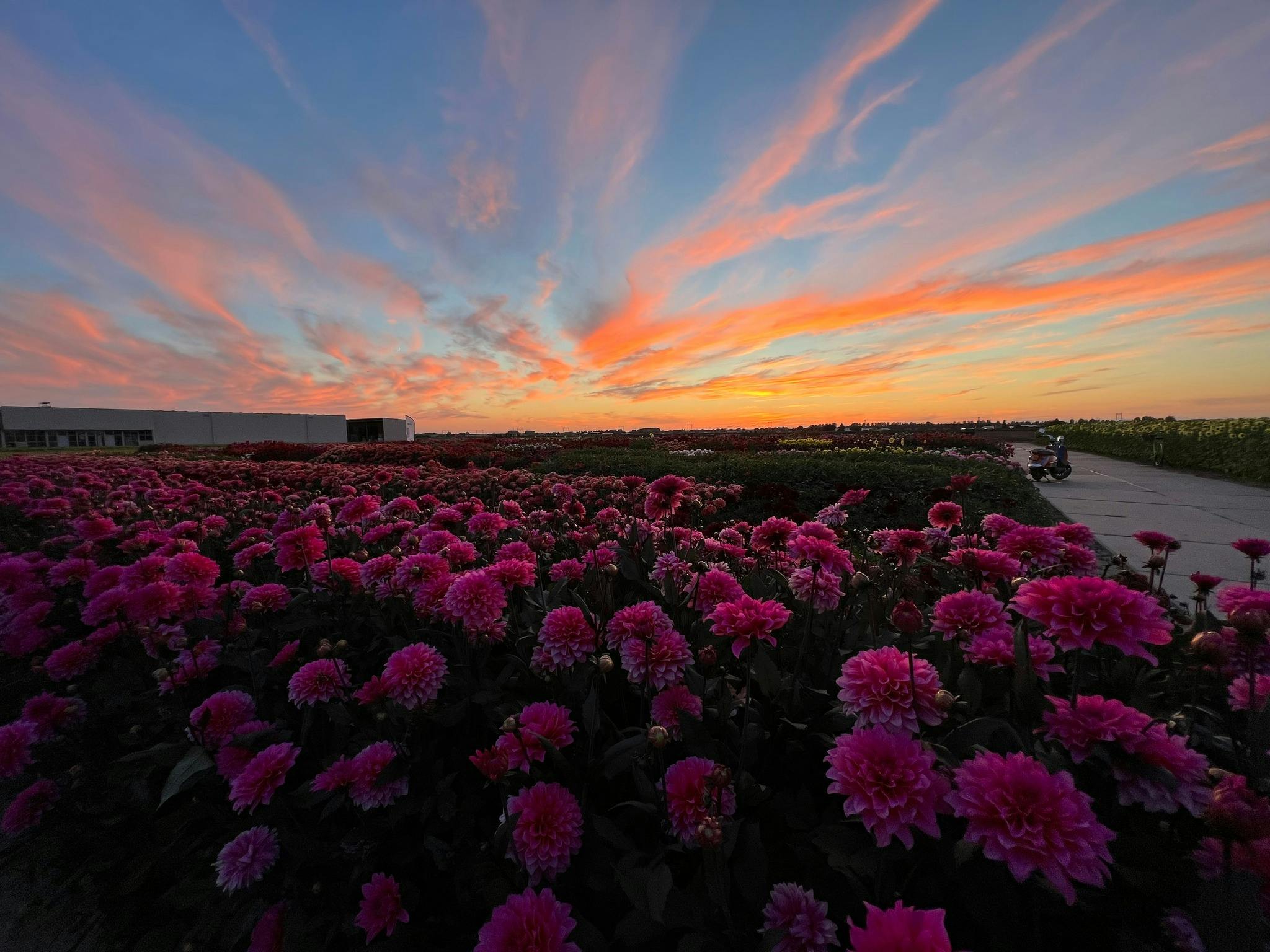 The Tulip Barn Tickets Eintritt Tiqets