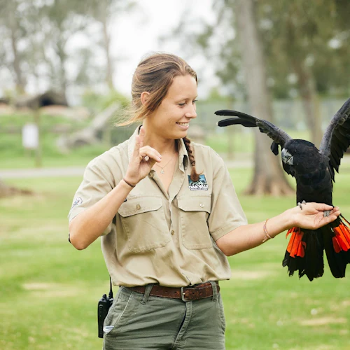 Oakvale Wildlife Park: Entry Ticket - Photo 2