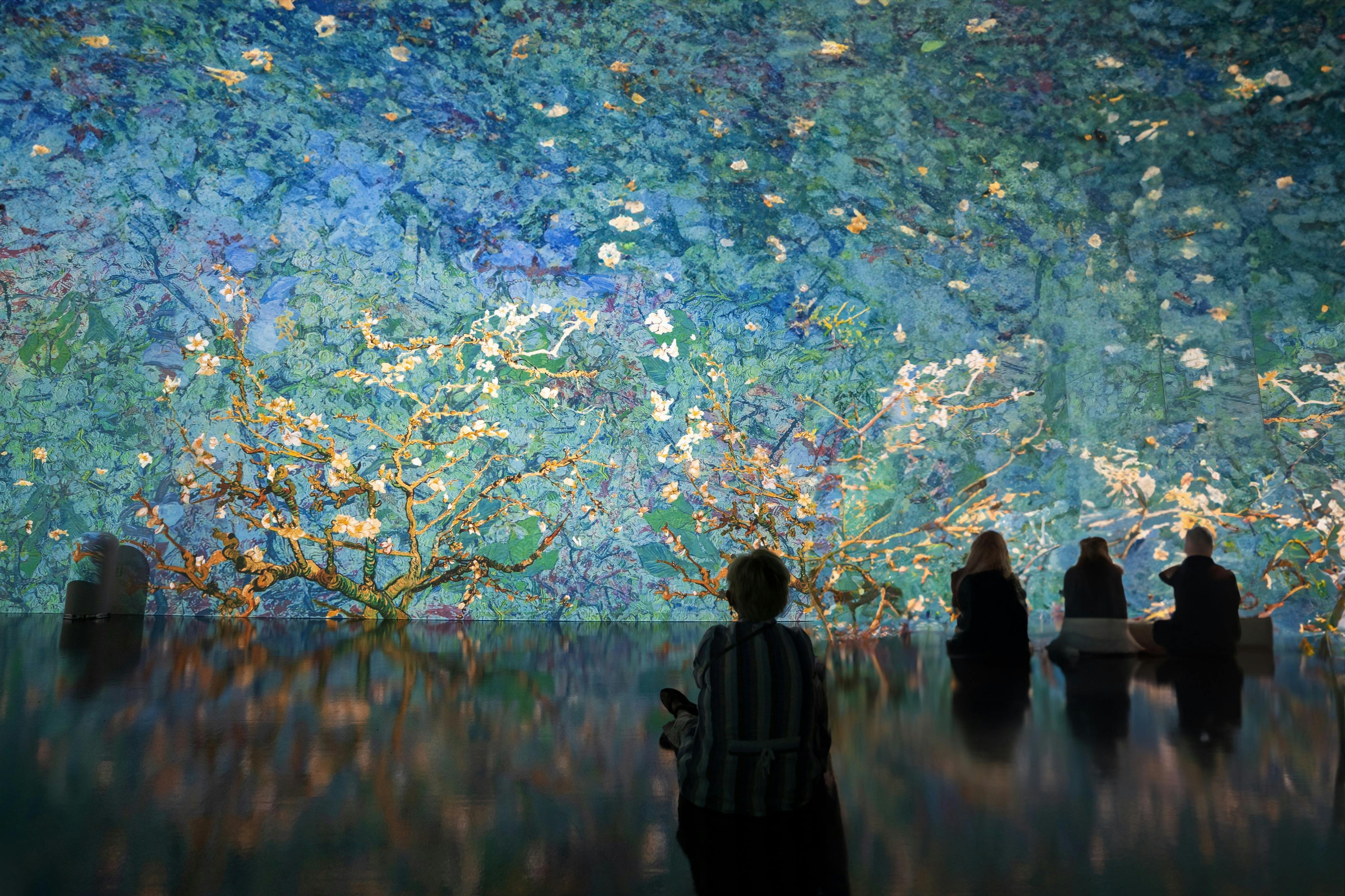 身临其境的梵高拉斯维加斯