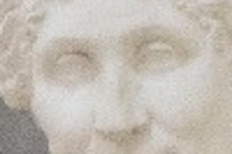 Possagno's Canova Museum, 19th-century wing (detail)