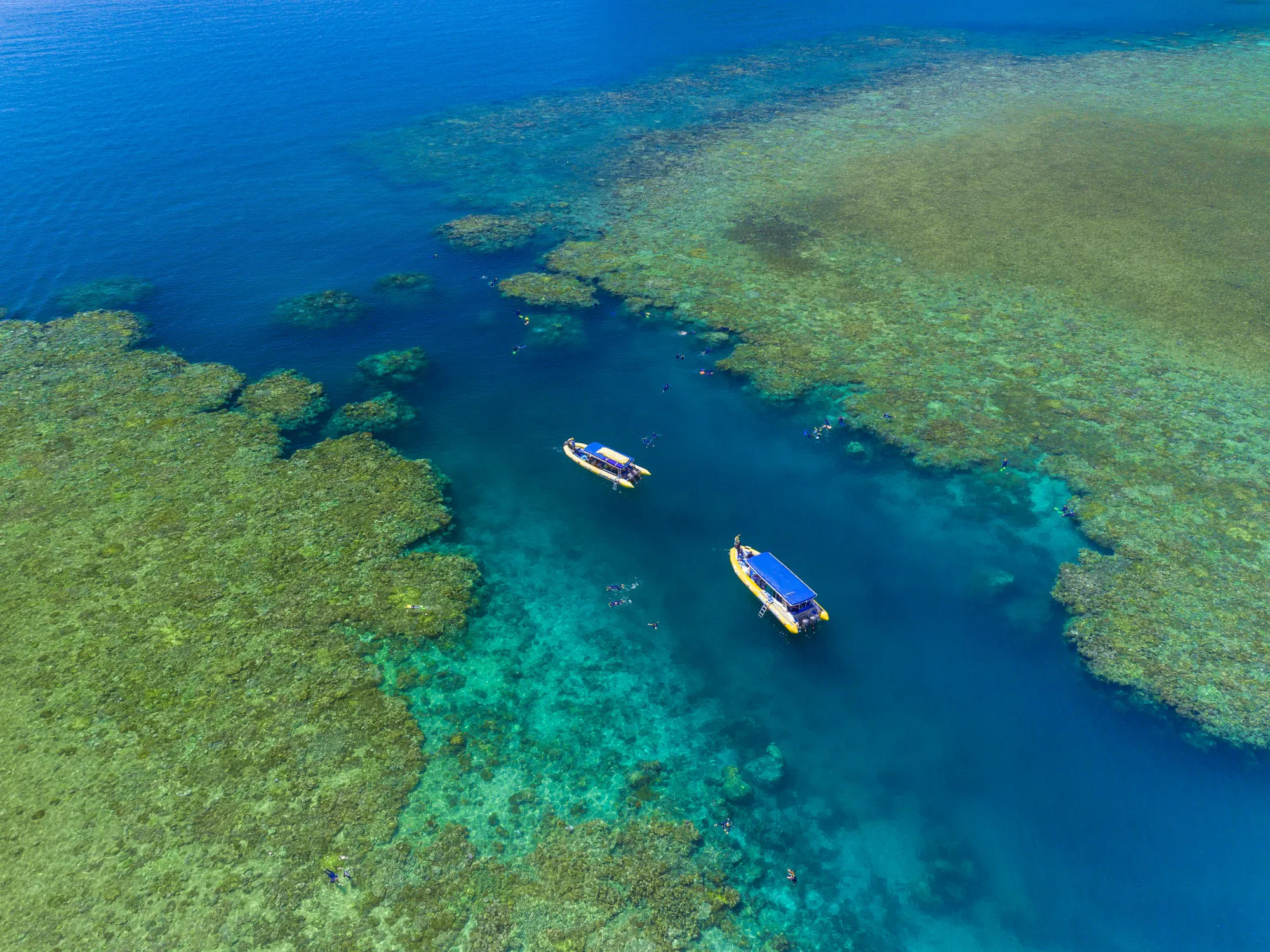 Day Trips and Tours from Airlie Beach