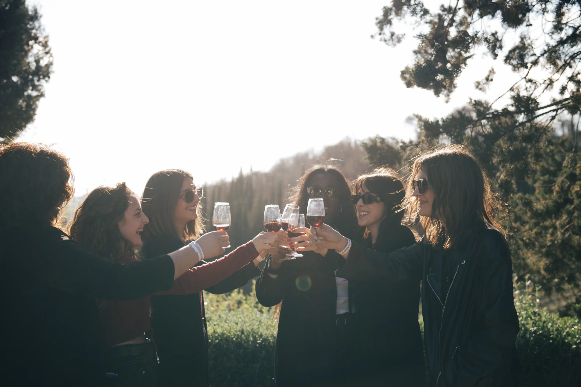 Chianti: Guided Wine Tour from Florence + Tasting