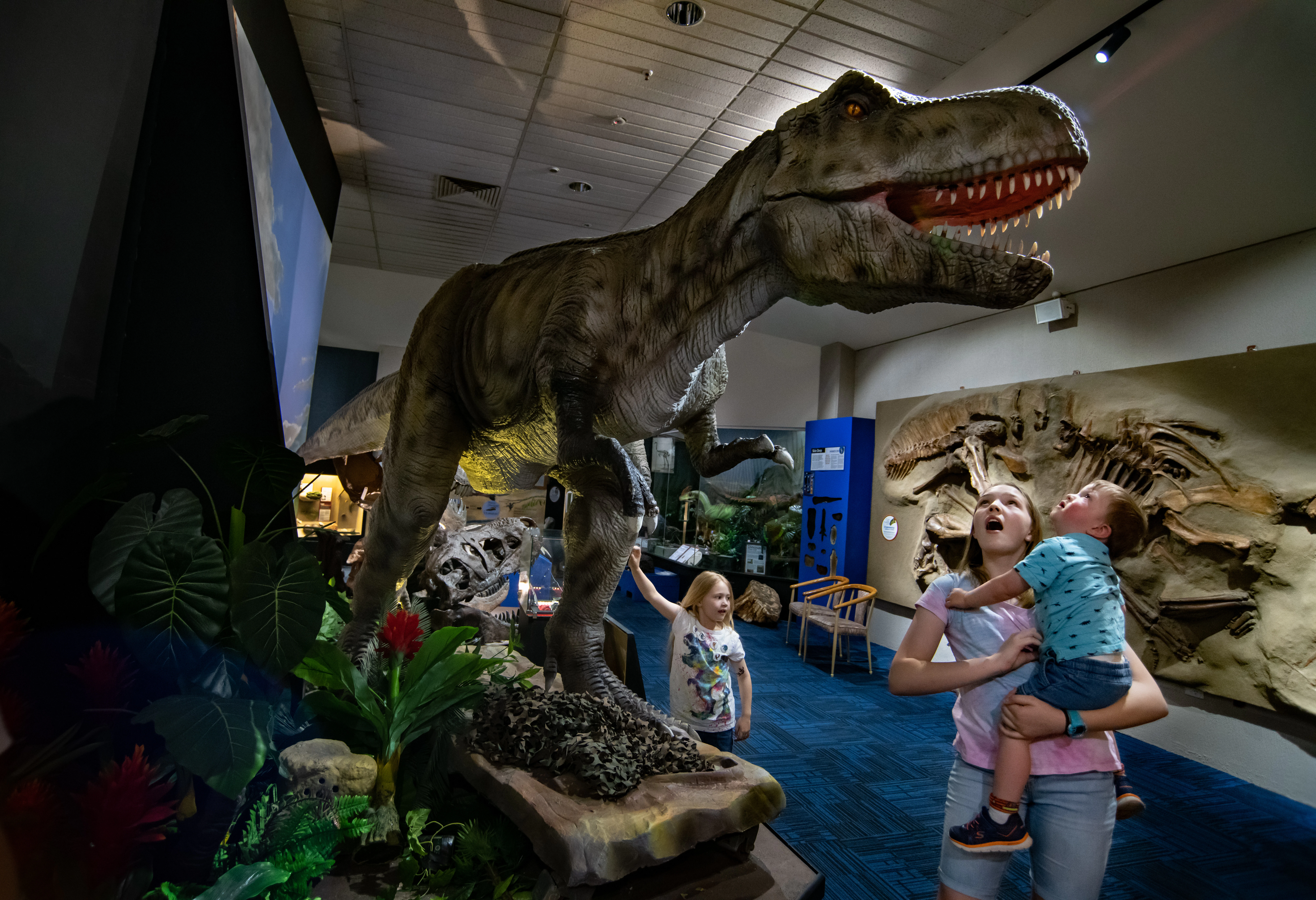 National Dinosaur Museum: Skip The Line Ticket
