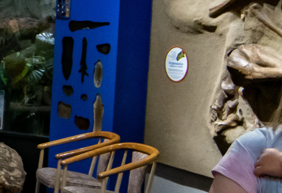 Nicholls National Dinosaur Museum Tickets - Hellotickets