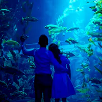 Ripley's Aquarium of Canada