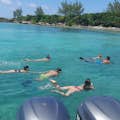 Snorkel with your friends and family