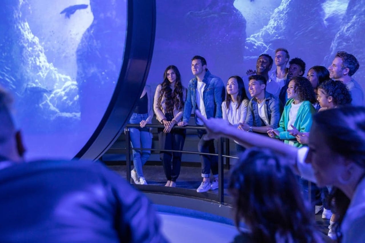 Eine Gruppe von Menschen, die in einer schwach beleuchteten Umgebung ein großes Aquarium oder eine Ausstellung mit blauer Beleuchtung beobachten.