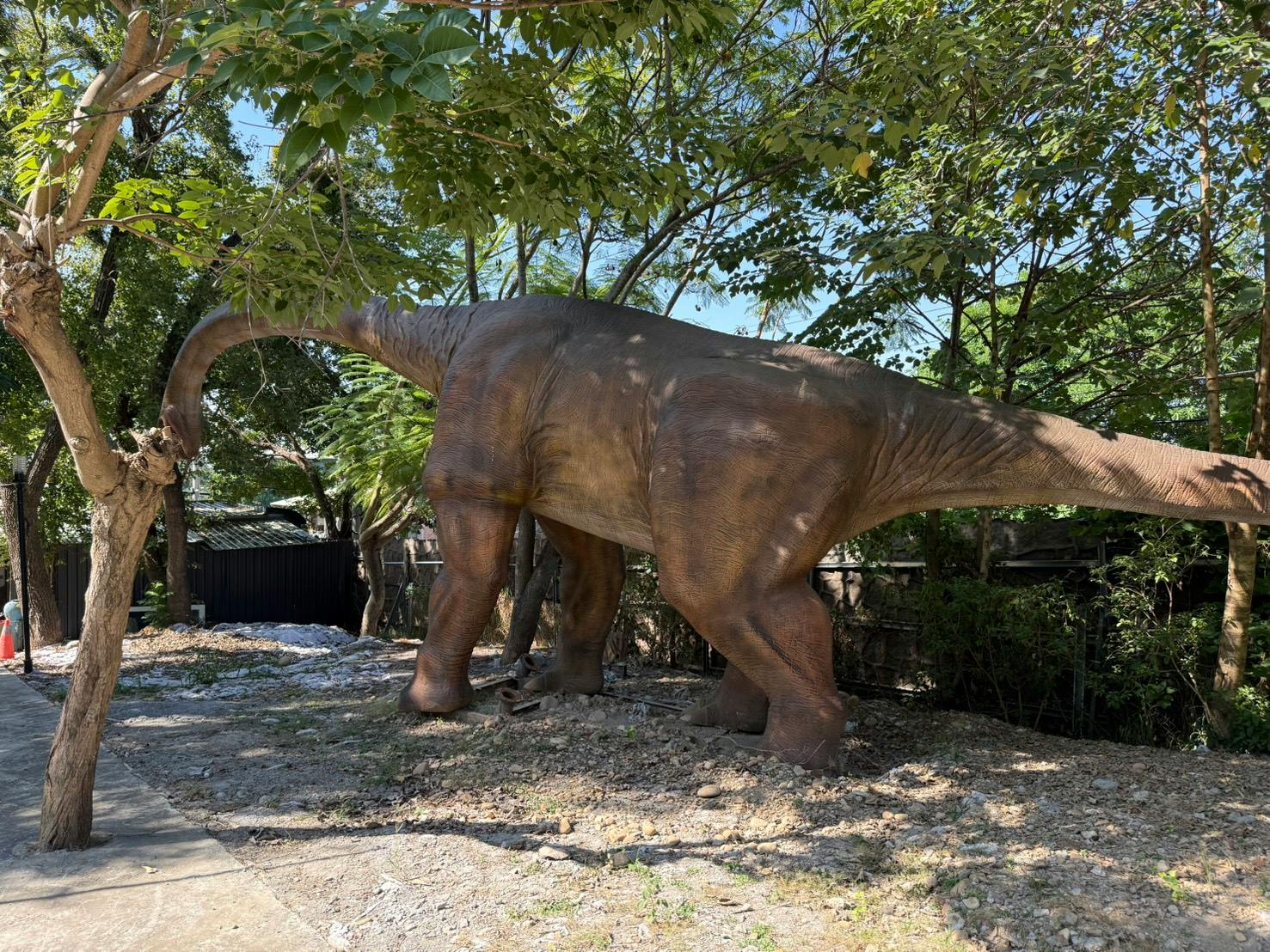 A life-sized dinosaur statue resembling a Brachiosaurus stands outdoors among trees and foliage under daylight.