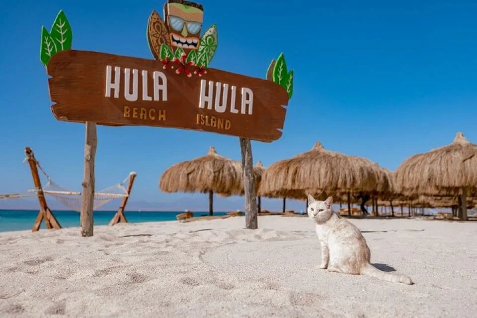 Hula Hula Island: Guided Cruise from Hurghada + Snorkeling + Lunch