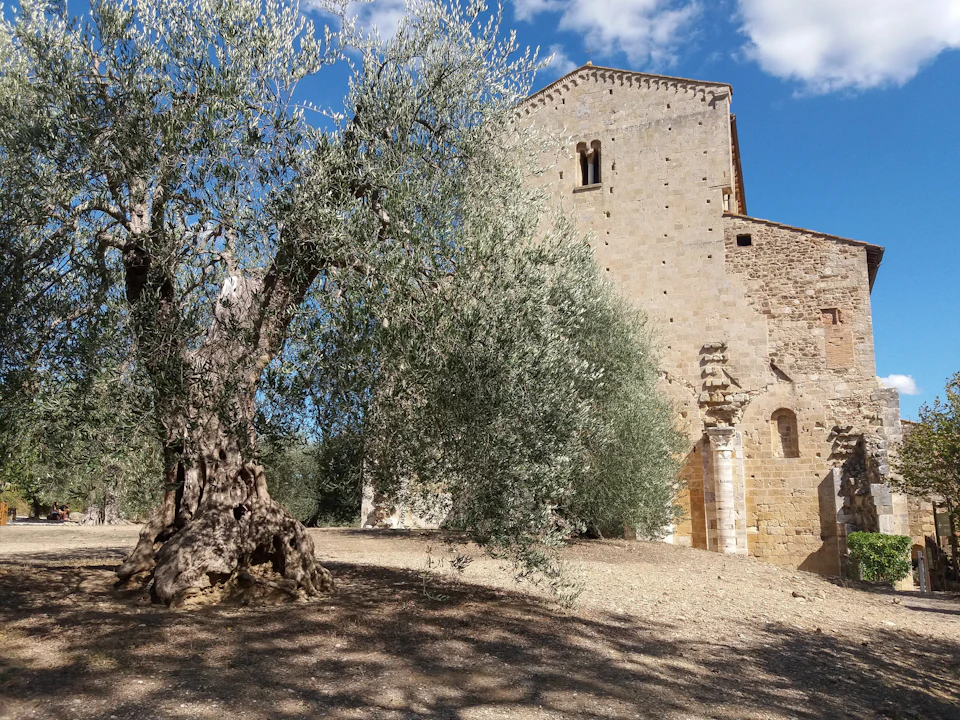 An old tree stands near a stone building with a tall, windowed wall under a blue sky with scattered clouds.