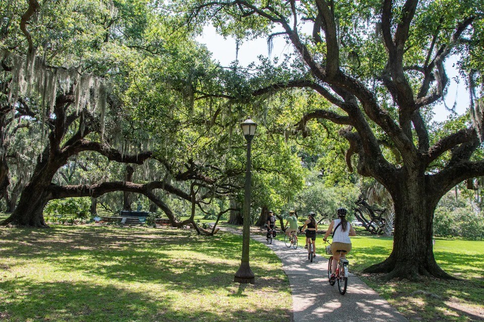 A group of people cycling along a paved path under large, moss-covered trees in a park on a sunny day.